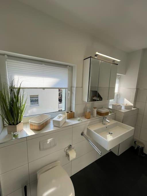 Komfortable Ferienwohnung In Halle-Kroellwitz Halle  外观 照片