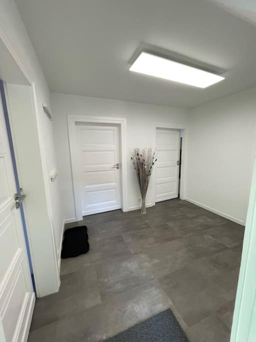 Komfortable Ferienwohnung In Halle-Kroellwitz Halle  外观 照片